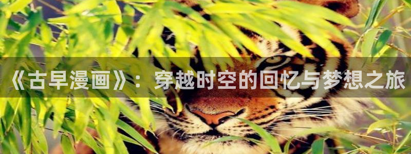 虫虫漫画韩漫画：《古早漫画》：穿越时空的回忆与梦想之旅