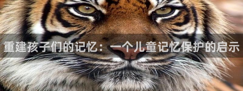 尾巴漫画在线页面免费阅读下拉式虫虫漫画：重建孩子们的记忆：一个儿童记忆保护的启示
