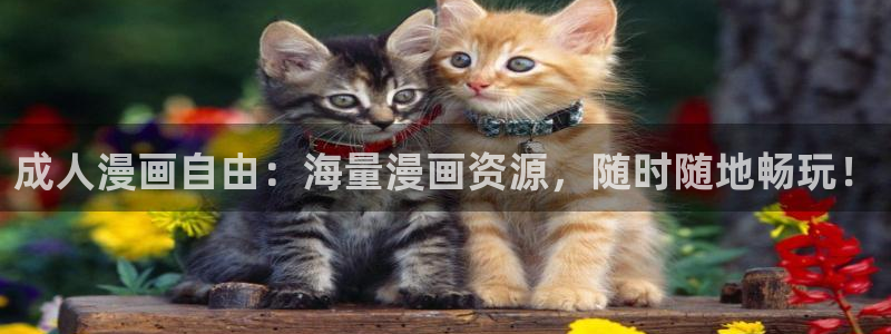 虫虫漫画免费漫画在线阅读：成人漫画自由：海量漫画资源，随时随地畅玩！