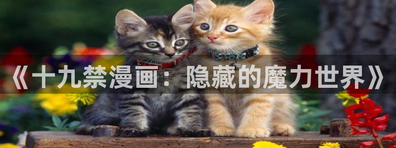 虫虫漫画弹窗：《十九禁漫画：隐藏的魔力世界》