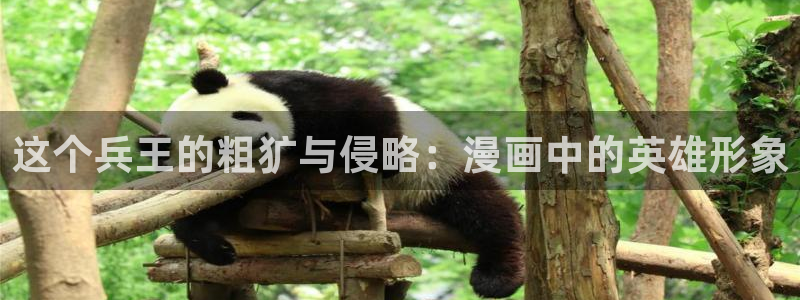 虫虫漫画免费观看页面：这个兵王的粗犷与侵略：漫画中的英雄形象