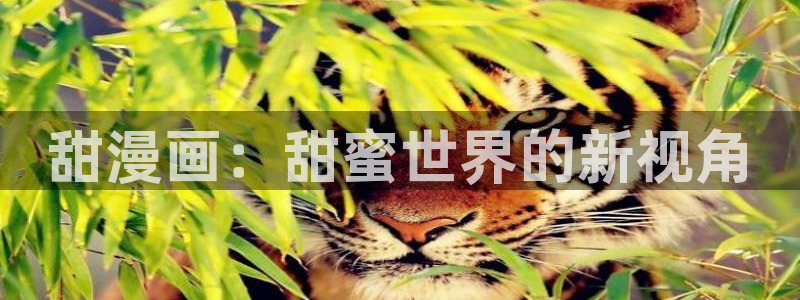 虫虫漫画免费阅读页面：甜漫画：甜蜜世界的新视角