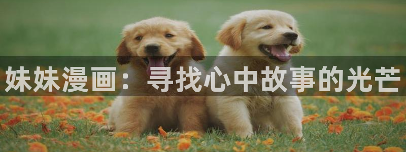 虫虫漫画免费漫画页面在线看漫画免费观看：妹妹漫画：寻找心中故事的光芒