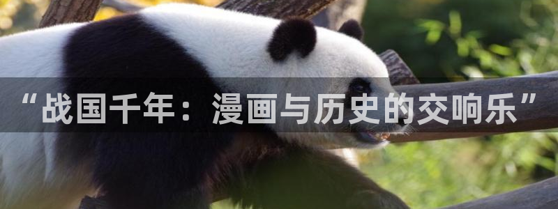 虫虫漫画韩国漫画：“战国千年：漫画与历史的交响乐”