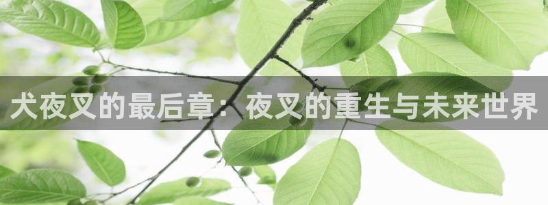 虫虫漫画app：犬夜叉的最后章：夜叉的重生与未来世界