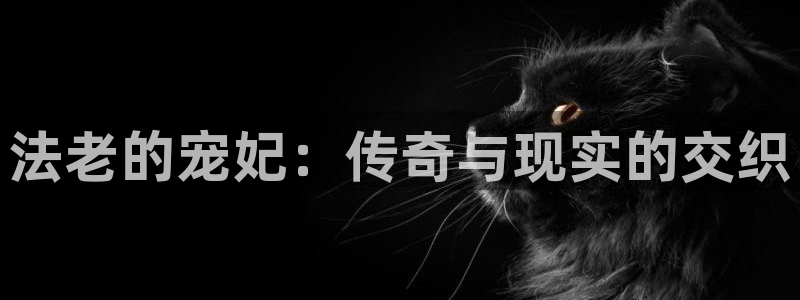虫虫漫画下载了会怎么样：法老的宠妃：传奇与现实的交织