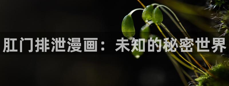 虫虫漫画在线看免费：肛门排泄漫画：未知的秘密世界