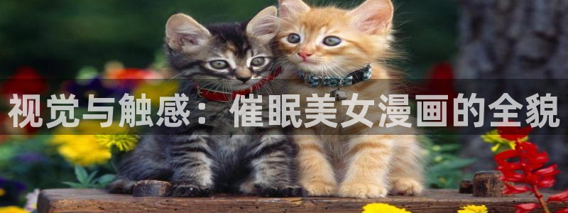 虫虫漫画主页：视觉与触感：催眠美女漫画的全貌