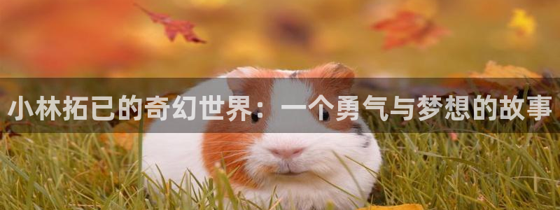 虫虫漫画 破解版：小林拓已的奇幻世界：一个勇气与梦想的故事